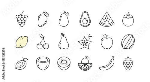 Collection of outline drawing fruits tropical fruits isolated vector set on the white background for creating logo