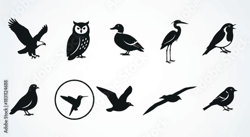 Diverse collection of bird silhouettes showcasing various species and poses.