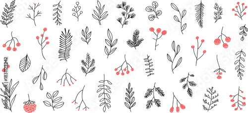 Hand-Drawn Botanical Elements Vector Set, Sketchy Leaves, Berries, and Branches Doodle Collection, Rustic Floral Design Graphics