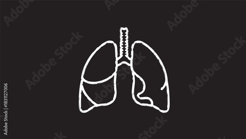 Illustration of human lungs anatomy silhouette against dark background in medical science concept.