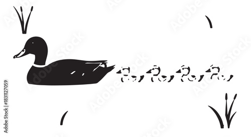 Silhouette of a black duck gliding across calm water among reeds in a tranquil lakeside scene.