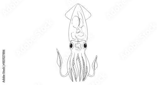 Minimal line drawing of a squid with flowing tentacles in monochrome.