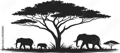African Savanna Wildlife Silhouette Vector, Elephant Family Under Acacia Tree, Safari Landscape Graphic, Nature Reserve Travel Banner Illustration