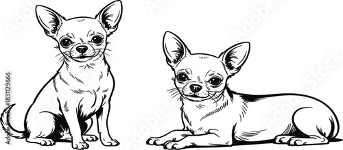Chihuahua Dog Vector Line Art Illustration Set, Small Breed Pet Sketch, Detailed Drawing of Companion Animals, Black and White Icon