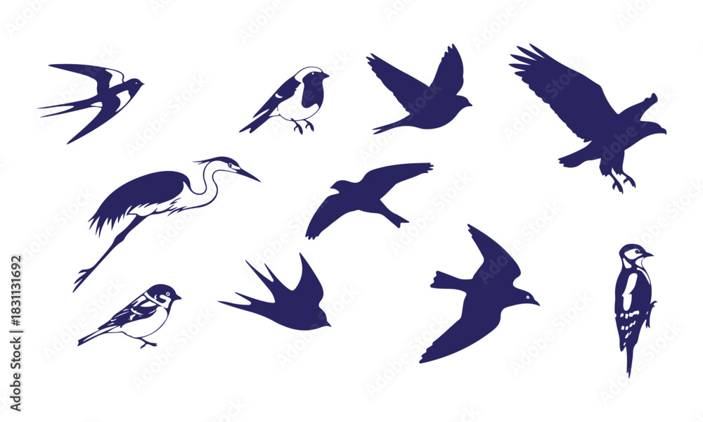 Obraz premium Collection of various bird silhouettes and drawings isolated on