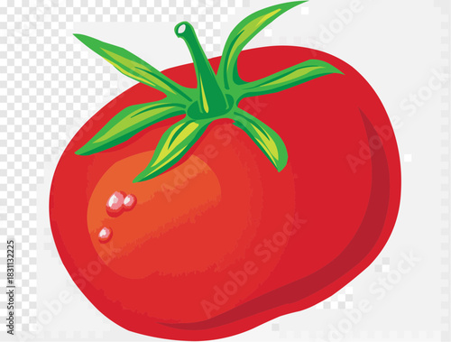 tomato vector illustration