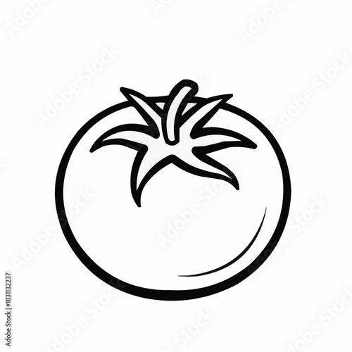 tomato vector illustration