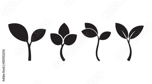 Set of four black silhouette icons representing different stages of plant sprout growth isolated on