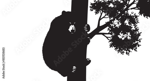 Monochrome koala silhouette clinging to eucalyptus tree trunk with foliage.