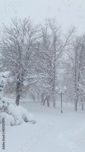 Park covered with snow