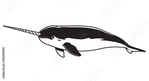 Black and white stylized narwhal illustration with long tusk.