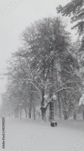 Park covered with snow