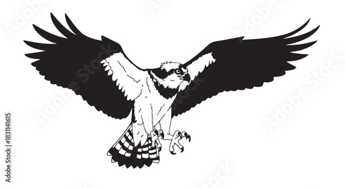 Elegant black eagle silhouette with outstretched wings and fierce gaze emblem.