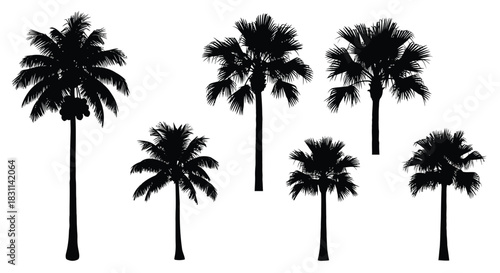 Silhouettes of tropical palm trees against a bright white background