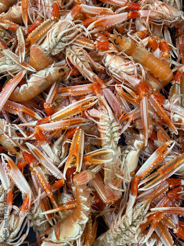 Fruits de mer /écrevisses