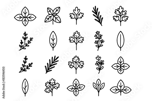 A collection of delicate black-and-white line icons of leaves and small flowers, displayed in a neat grid with thin, elegant botanical outlines