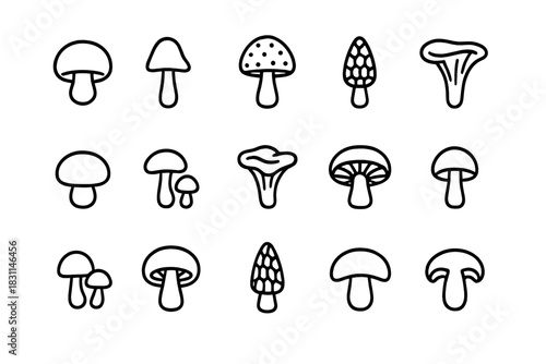 Different types of mushrooms illustrated in black and white line art, showcasing various shapes and sizes in a simple design