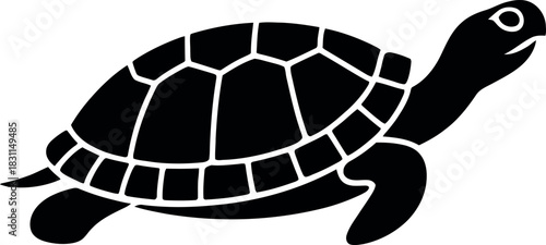 turtle vector illustration