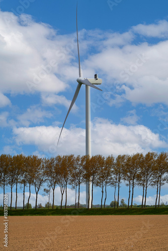 Empty field with trees and wind turbines at the background
