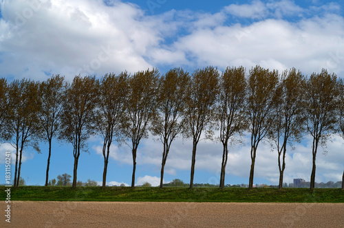 Empty spring field with the trees at the background, Netherlands