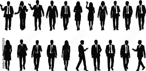 Business professionals silhouettes, corporate teamwork, leadership communication, office collaboration, negotiation success, workplace diversity, professional career illustration