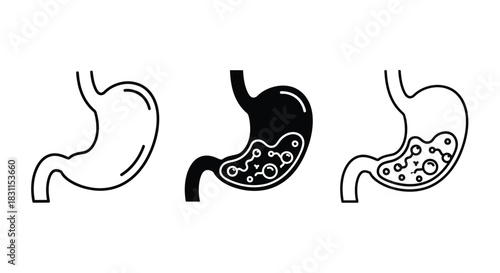 Illustrating the stages of digestive health with stomach line art depictions