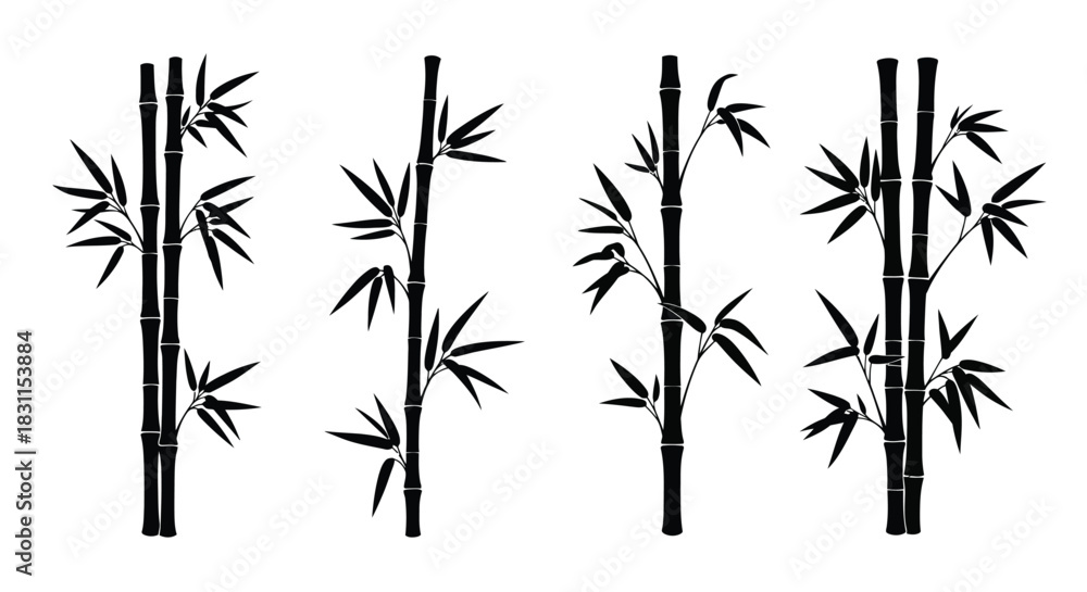 Obraz premium Simple black and white illustration of several bamboo stalks and leaves