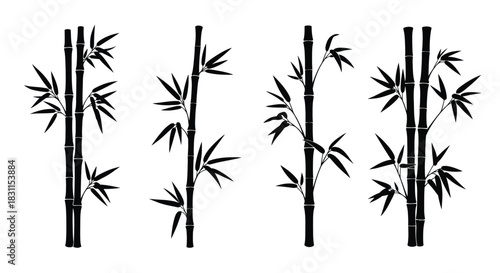 Simple black and white illustration of several bamboo stalks and leaves
