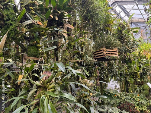 Exotic plants at the botanical garden in Saint Gallen in Switzerland 22.11.2025