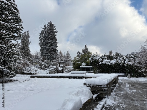 Winter impressions from the botanical garden in Saint Gallen in Switzerland 22.11.2025