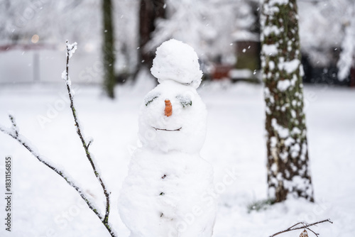 A happy-looking snowman with a carrot nose is sprinkled with falling snow. Constance, Baden Württemberg, Germany.