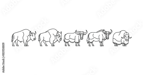 Line art of bison and buffalo species in a minimalist style