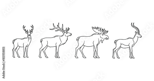 Outline illustrations of antlered animals: deer, moose, elk, gazelle