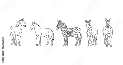 Outline of horses and zebras in various poses on white background