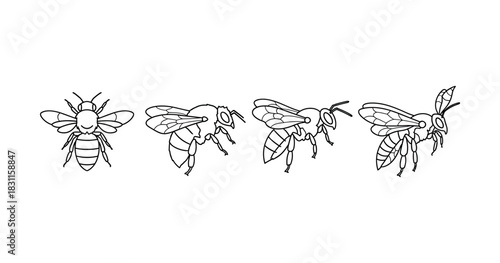 Line art illustrations of flying bees in detailed sketch style