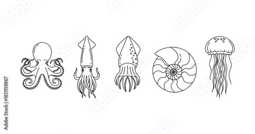 Adobe Illustrator Artwork