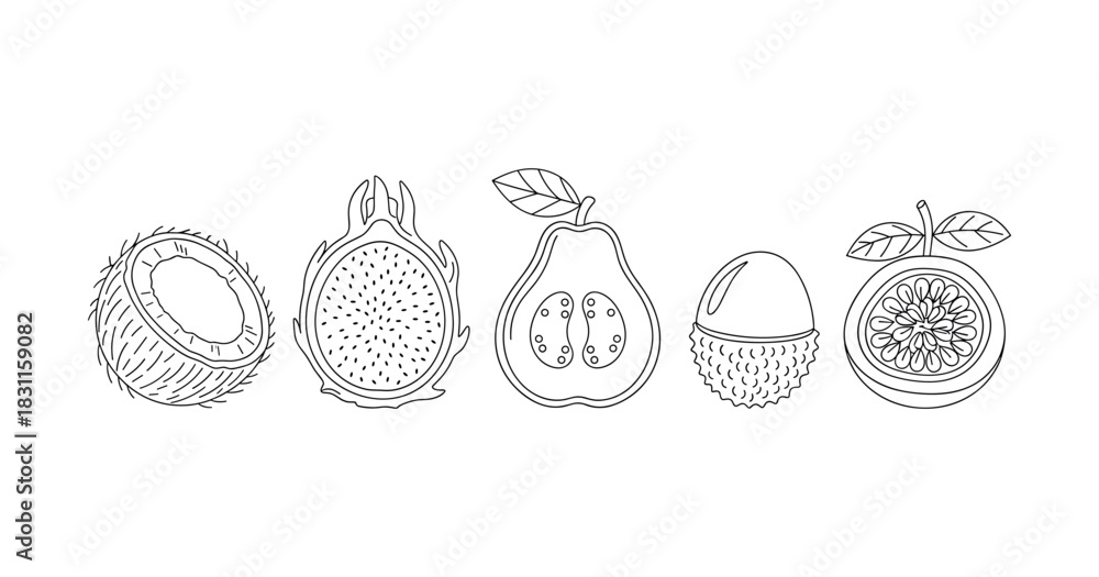 Obraz premium Line art of tropical fruits: coconut, dragon fruit, guava, lychee, passion fruit