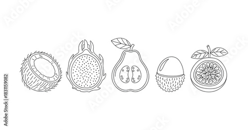 Line art of tropical fruits: coconut, dragon fruit, guava, lychee, passion fruit