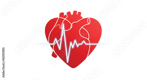 Red Heart With Electrocardiogram Line Illustration.