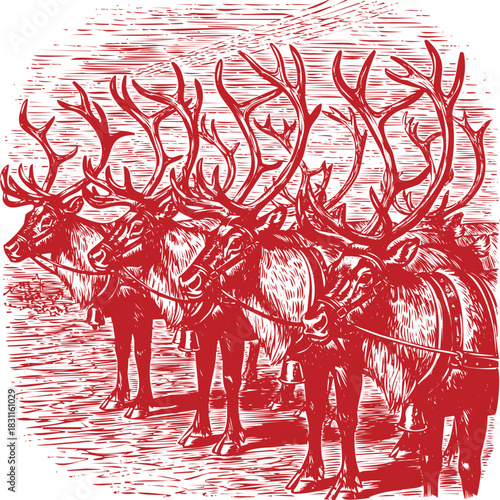 Line of red reindeer with bells and harnesses ready for Christmas sleigh caribou animals