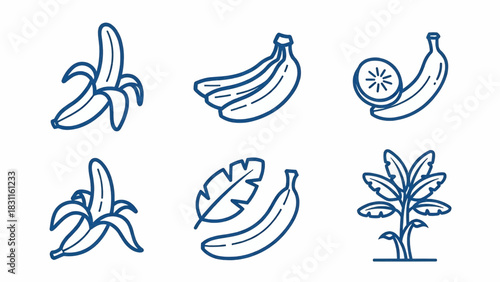 Illustrations of various banana illustrations and a banana plant in different stages of growth and peeling on a white background