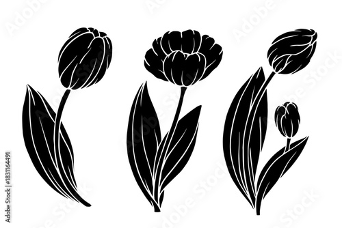 Set of silhouettes and stamps of spring flowers and tulip buds. Seasonal botanical elements. Vector graphics.