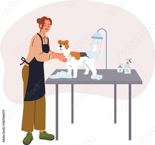 Young Woman Grooming a Dog in a Pet Salon