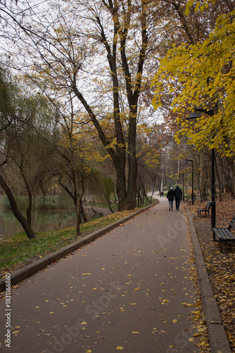 Wallpaper Mural autumn in the park Torontodigital.ca