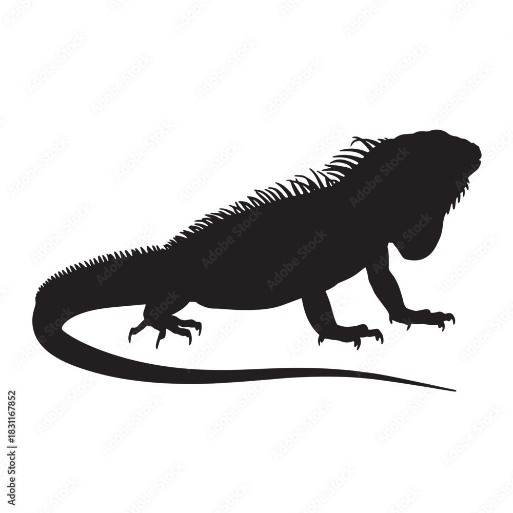 Fototapeta premium Black silhouette of an iguana vector illustration of a reptile isolated on white background