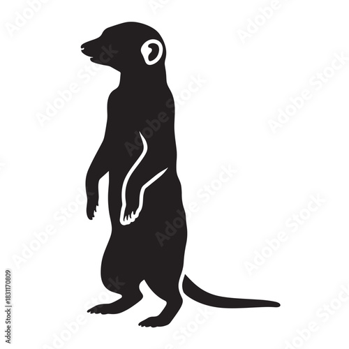 Meerkat silhouette standing upright simple vector illustration of a suricate isolated on white background