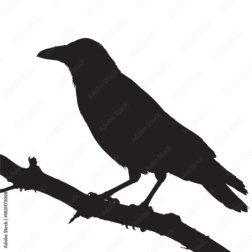 Obraz premium Silhouette of a raven perched on a branch vector illustration of a black bird against a white background perfect for Halloween or gothic themes
