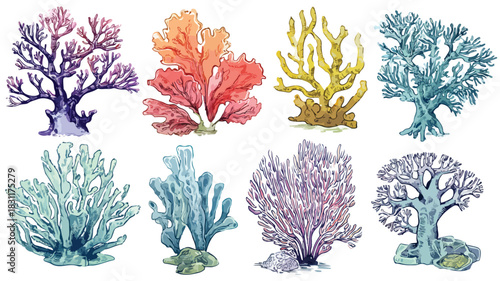 Vibrant Collection of Seaweeds and Corals Vector Illustration
