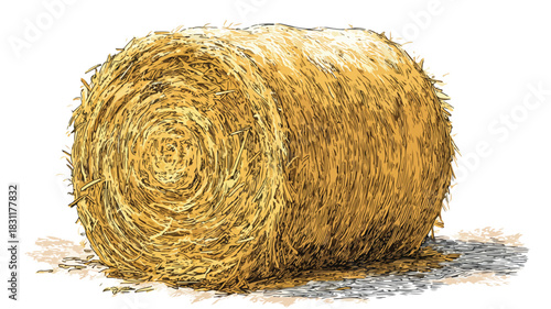 Hay Bale Drawing with Straw Piece - Detailed Sketch Illustrating Farming Concept