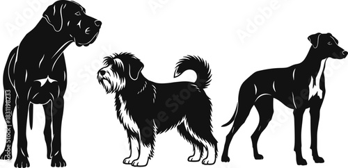 Dog breed silhouette set, black vector illustration, standing pose, pet icon collection, canine shape, stylized animal design